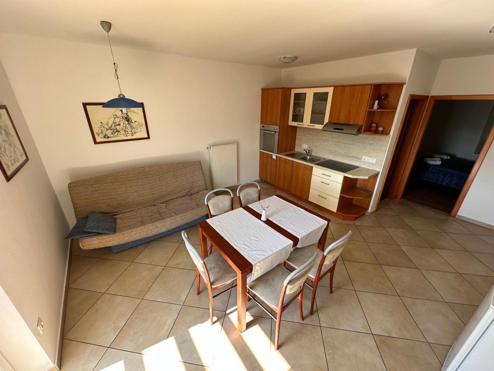 Apartments Suster Stari Trg ob Kolpi エクステリア 写真