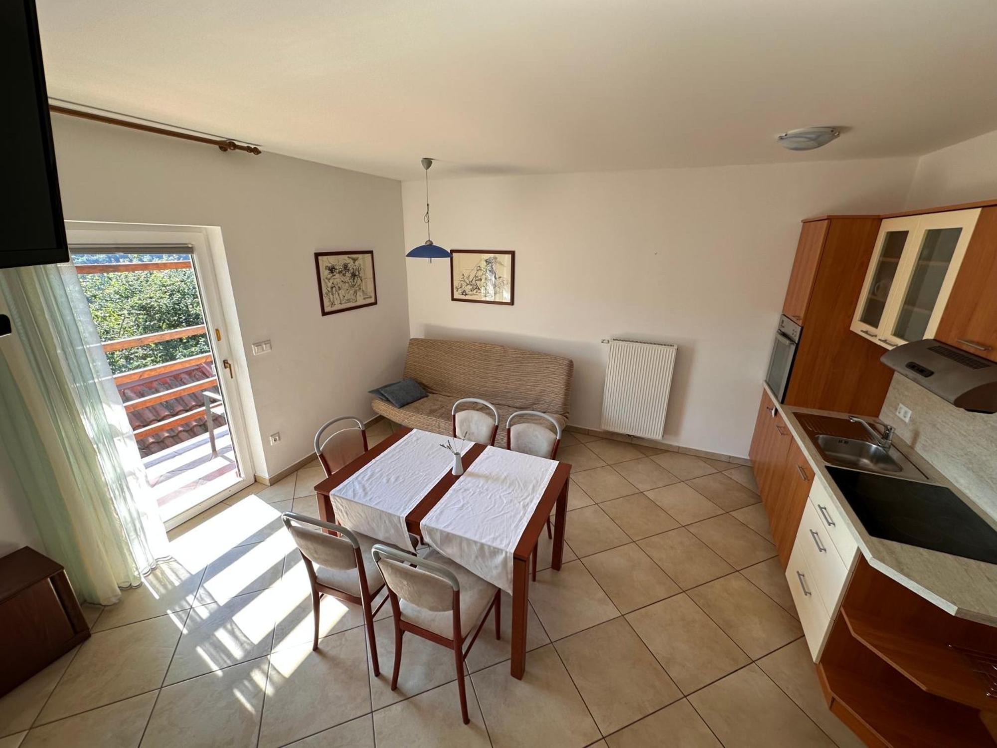 Apartments Suster Stari Trg ob Kolpi エクステリア 写真