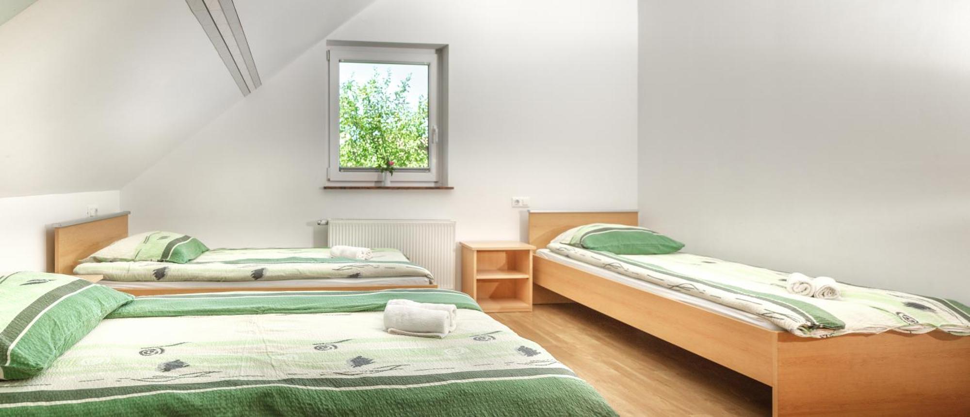 Apartments Suster Stari Trg ob Kolpi 部屋 写真