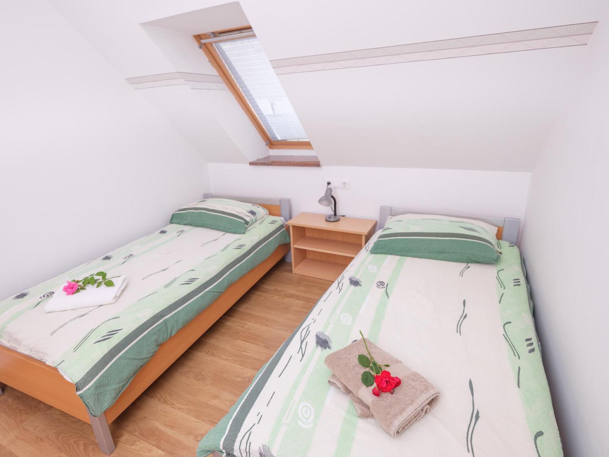 Apartments Suster Stari Trg ob Kolpi エクステリア 写真
